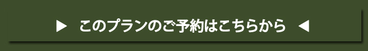 A00-yoyakubtn-300x42