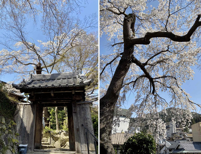 善福寺