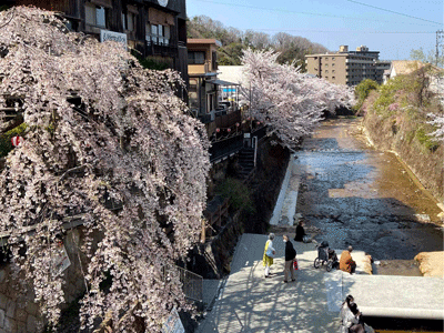 有馬川